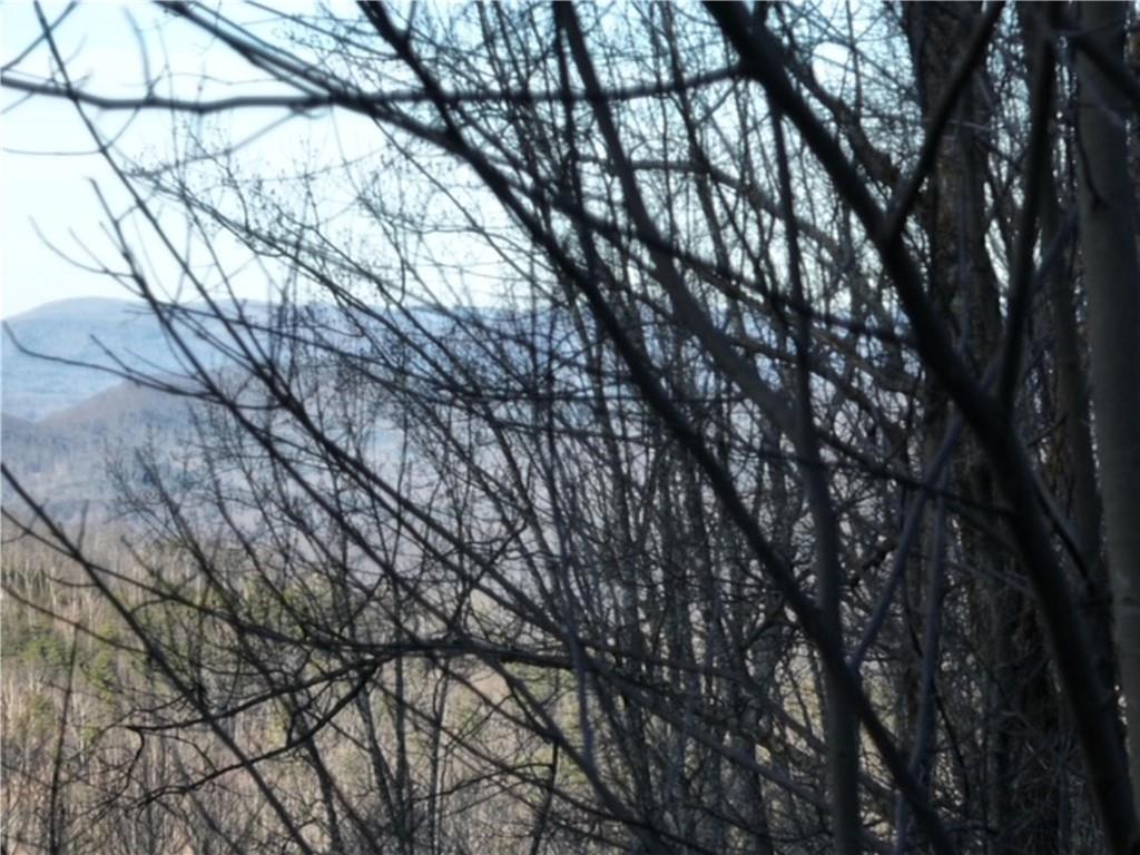 280 Andes Ridge Talking Rock, GA 30175 - Photo 18 of 48 a backyard of a house with lots of trees