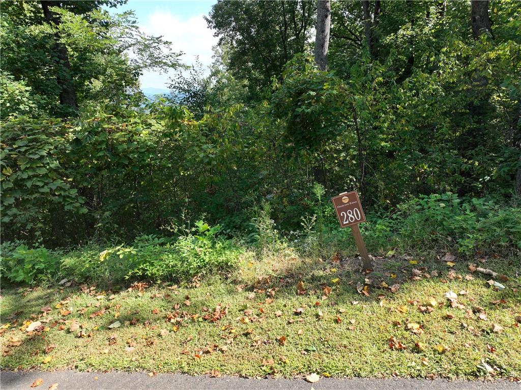 280 Andes Ridge Talking Rock, GA 30175 - Photo 2 of 48 a view of a yard with plants and a tree
