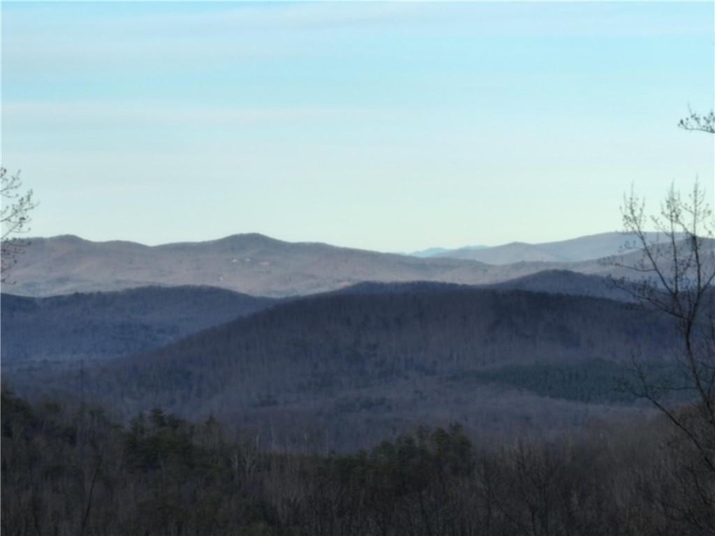 280 Andes Ridge Talking Rock, GA 30175 - Photo 21 of 48 a view of a dry yard with green space