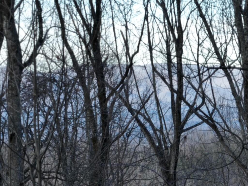 280 Andes Ridge Talking Rock, GA 30175 - Photo 22 of 48 outdoor view