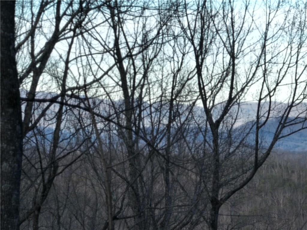 280 Andes Ridge Talking Rock, GA 30175 - Photo 23 of 48 a backyard of a house with lots of trees