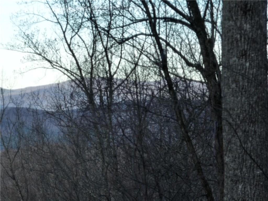 280 Andes Ridge Talking Rock, GA 30175 - Photo 26 of 48 a view of trees in a yard