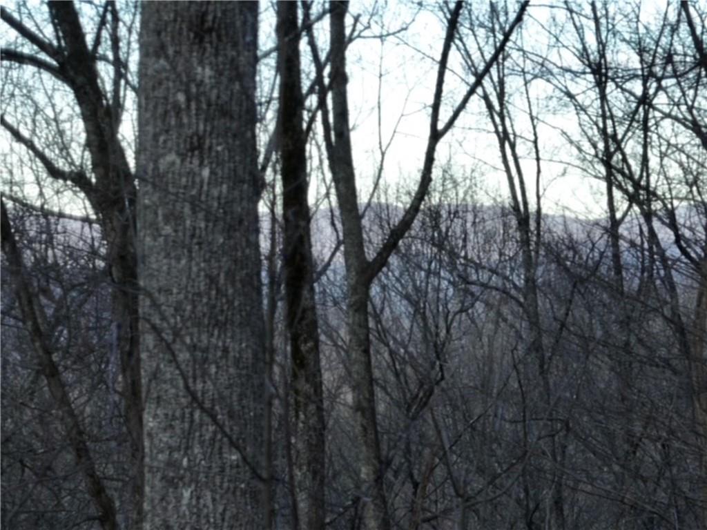 280 Andes Ridge Talking Rock, GA 30175 - Photo 27 of 48 a view of forest