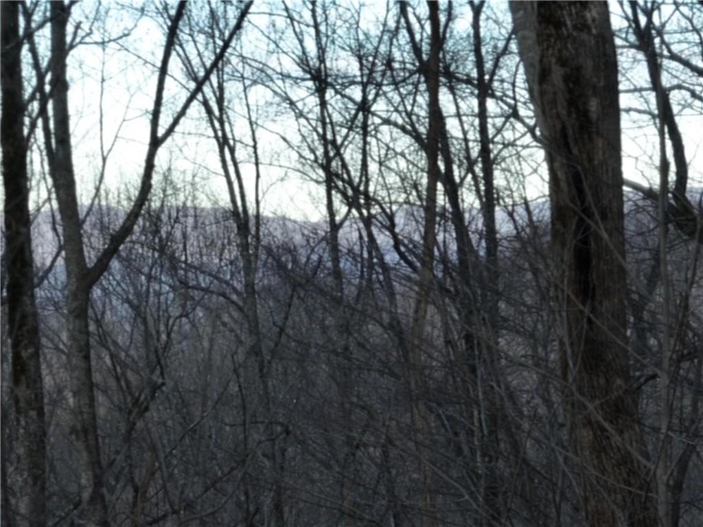 280 Andes Ridge Talking Rock, GA 30175 - Photo 28 of 48 a view of trees in between two