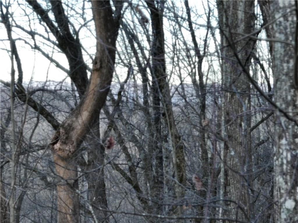 280 Andes Ridge Talking Rock, GA 30175 - Photo 29 of 48 a view of forest