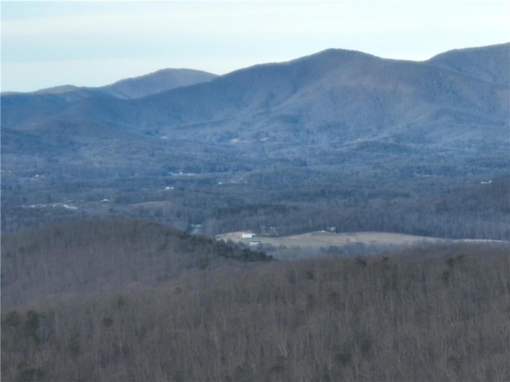 280 Andes Ridge Talking Rock, GA 30175 - Photo 31 of 48 a view of a dry yard