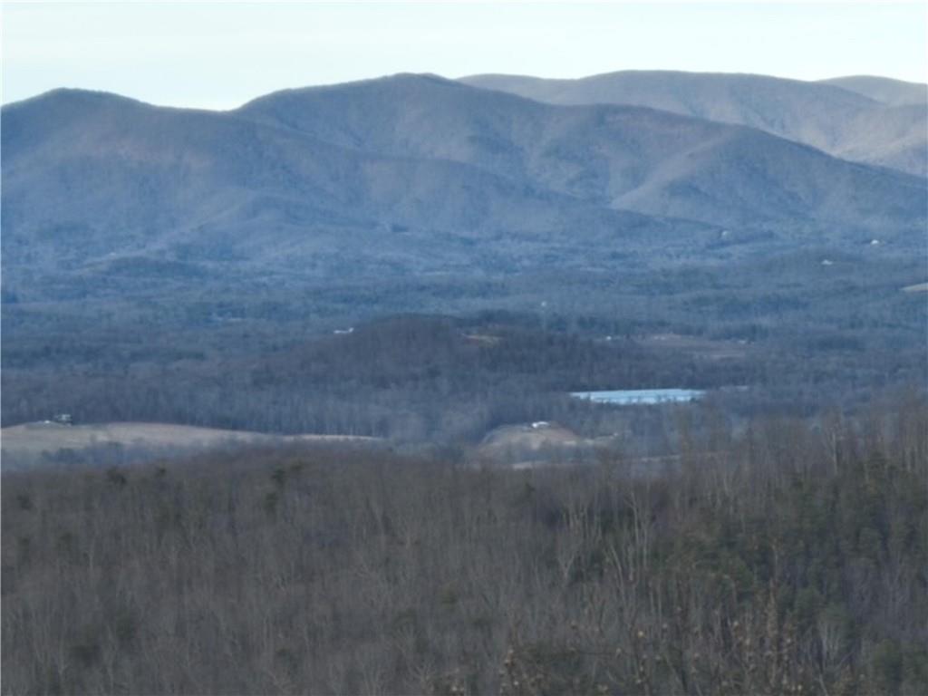280 Andes Ridge Talking Rock, GA 30175 - Photo 32 of 48 a view of a dry yard