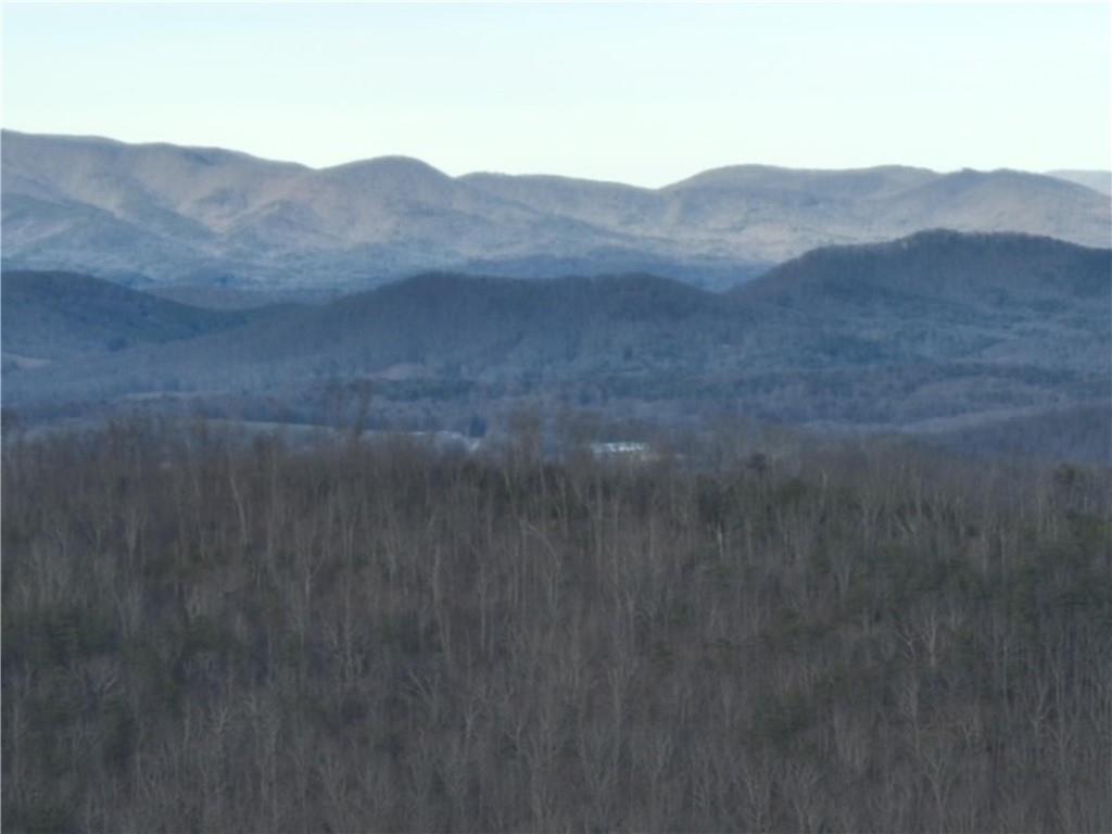 280 Andes Ridge Talking Rock, GA 30175 - Photo 34 of 48