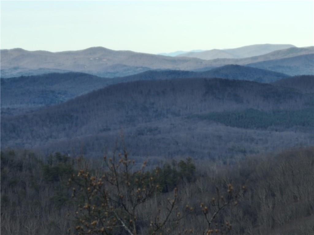 280 Andes Ridge Talking Rock, GA 30175 - Photo 36 of 48 a view of a dry yard with green space
