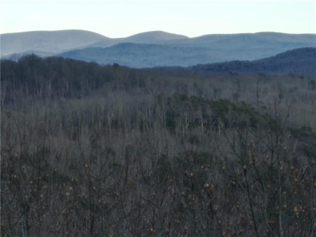 280 Andes Ridge Talking Rock, GA 30175 - Photo 39 of 48 a view of a mountain in the distance