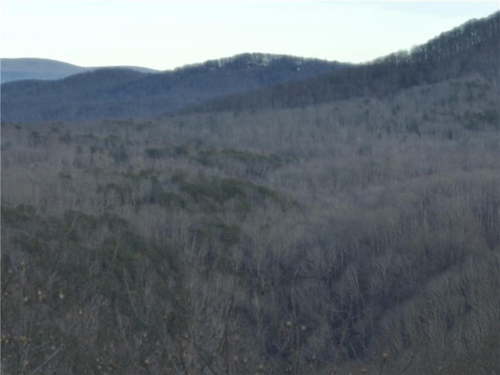 280 Andes Ridge Talking Rock, GA 30175 - Photo 40 of 48 a view of a dry field