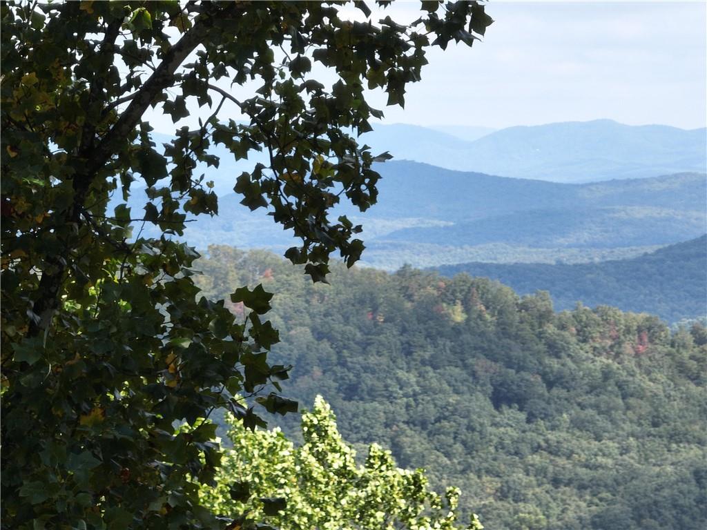 280 Andes Ridge Talking Rock, GA 30175 - Photo 4 of 48 a view of a tree in a yard