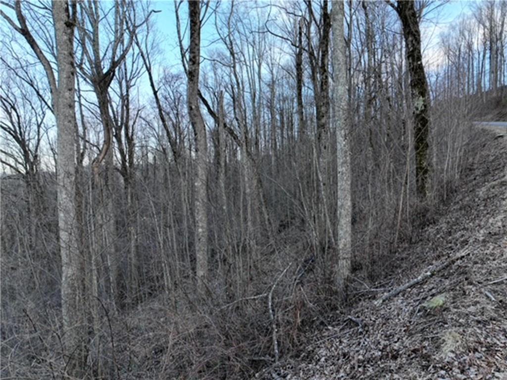 280 Andes Ridge Talking Rock, GA 30175 - Photo 41 of 48 a view of outdoor space and a yard