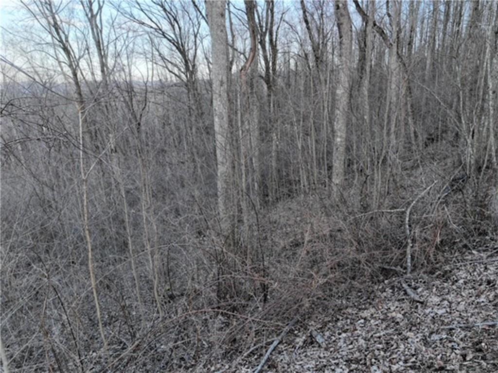280 Andes Ridge Talking Rock, GA 30175 - Photo 42 of 48 a view of a yard