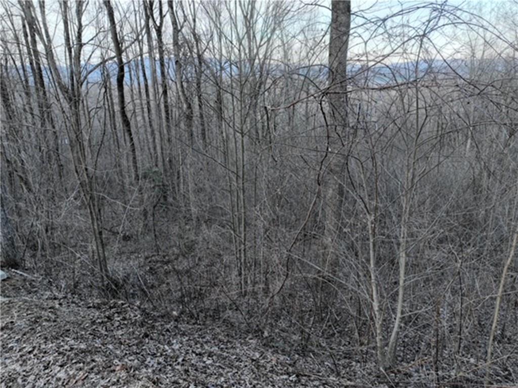 280 Andes Ridge Talking Rock, GA 30175 - Photo 44 of 48 a view of a yard with trees