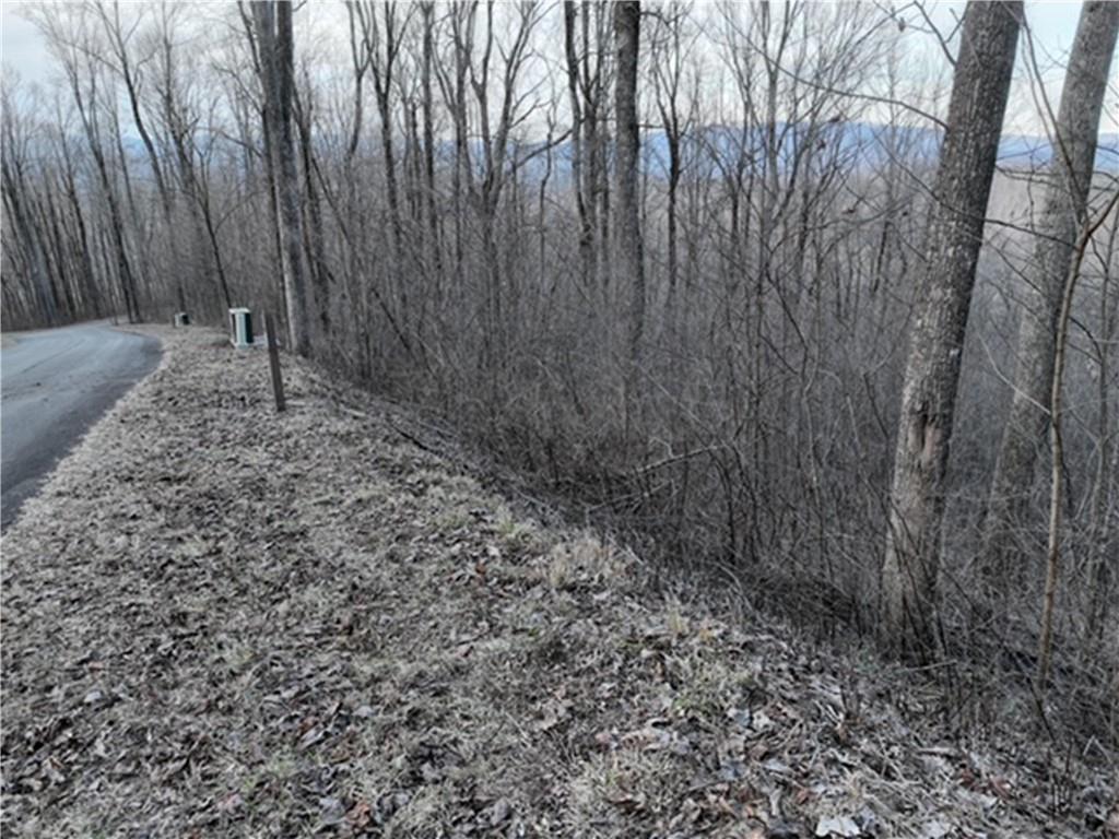 280 Andes Ridge Talking Rock, GA 30175 - Photo 45 of 48 a view of backyard with tree