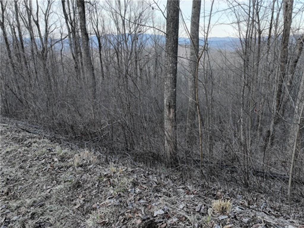 280 Andes Ridge Talking Rock, GA 30175 - Photo 46 of 48 a view of a yard