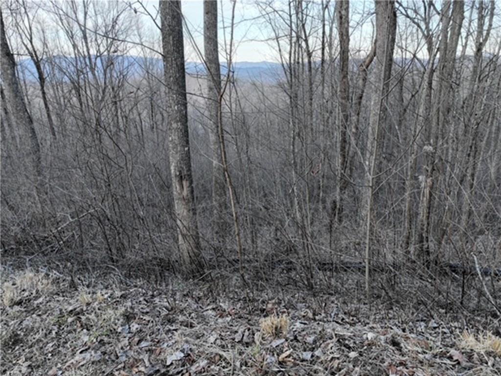 280 Andes Ridge Talking Rock, GA 30175 - Photo 47 of 48 a view of a yard