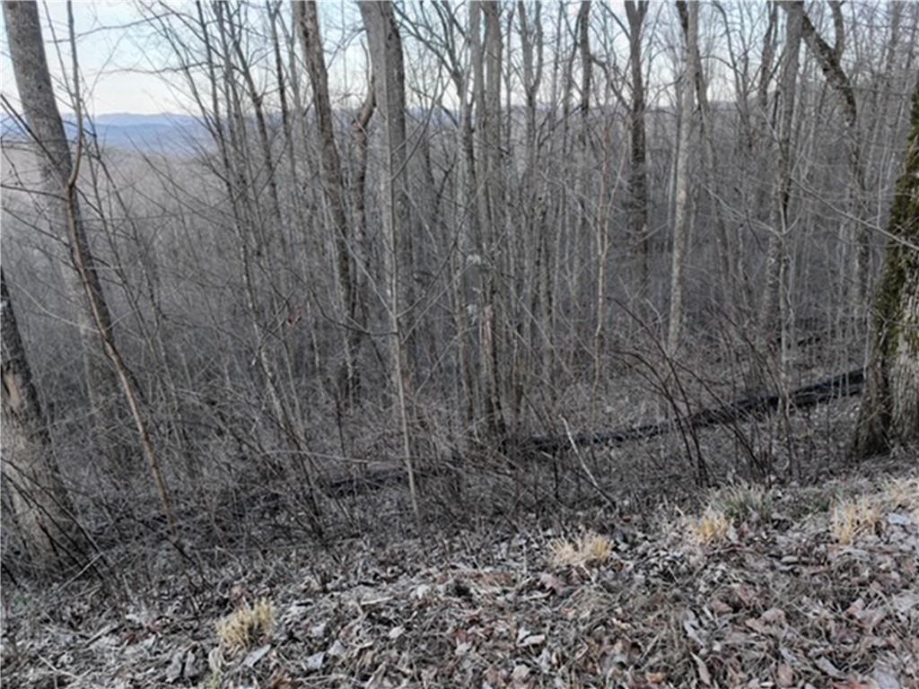 280 Andes Ridge Talking Rock, GA 30175 - Photo 48 of 48 a view of a yard with large trees