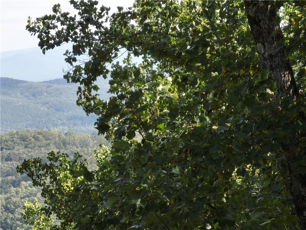 280 Andes Ridge Talking Rock, GA 30175 - Photo 6 of 48 a view of a tree