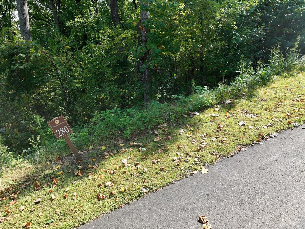 280 Andes Ridge Talking Rock, GA 30175 - Photo 8 of 48 a view of a garden with plants
