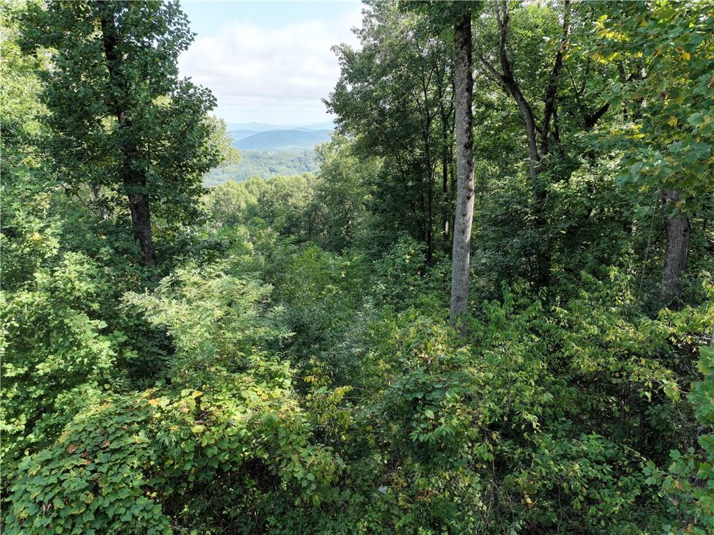 280 Andes Ridge Talking Rock, GA 30175 - Photo 9 of 48 a view of a green field
