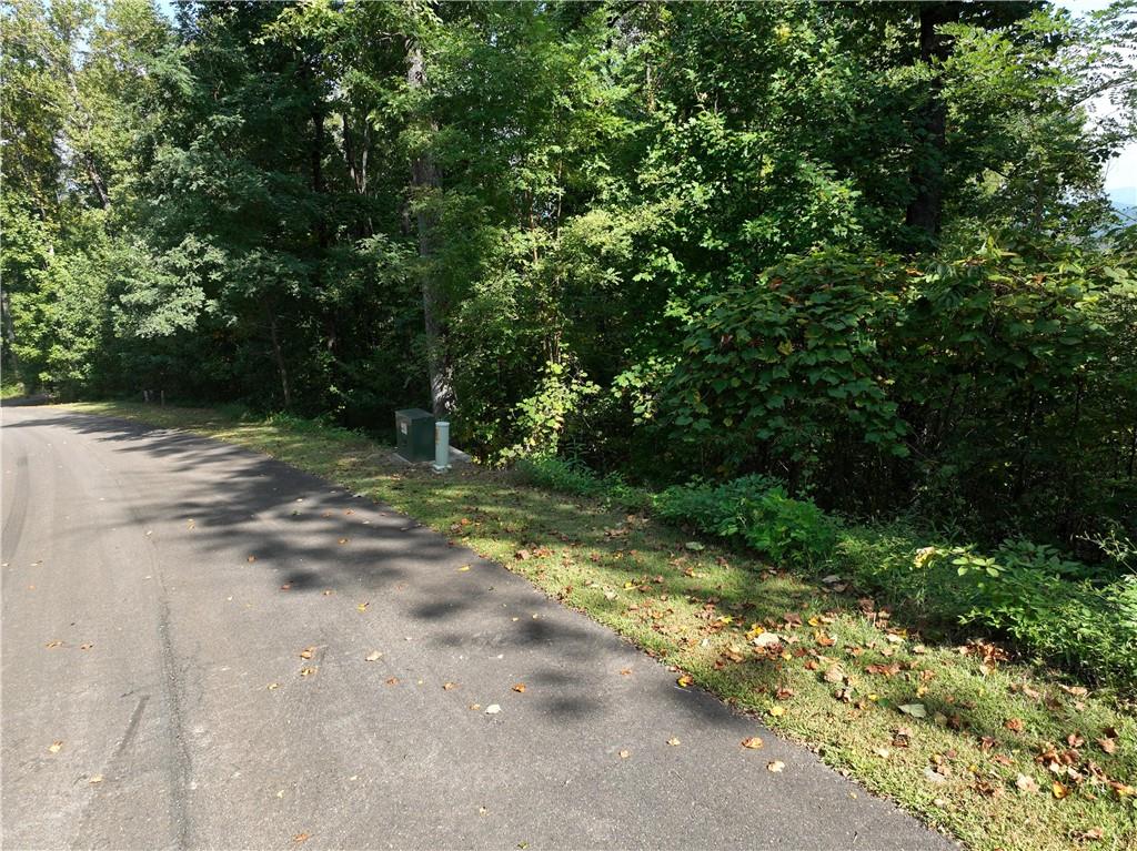 280 Andes Ridge Talking Rock, GA 30175 - Photo 10 of 48 a view of a yard with plants and trees