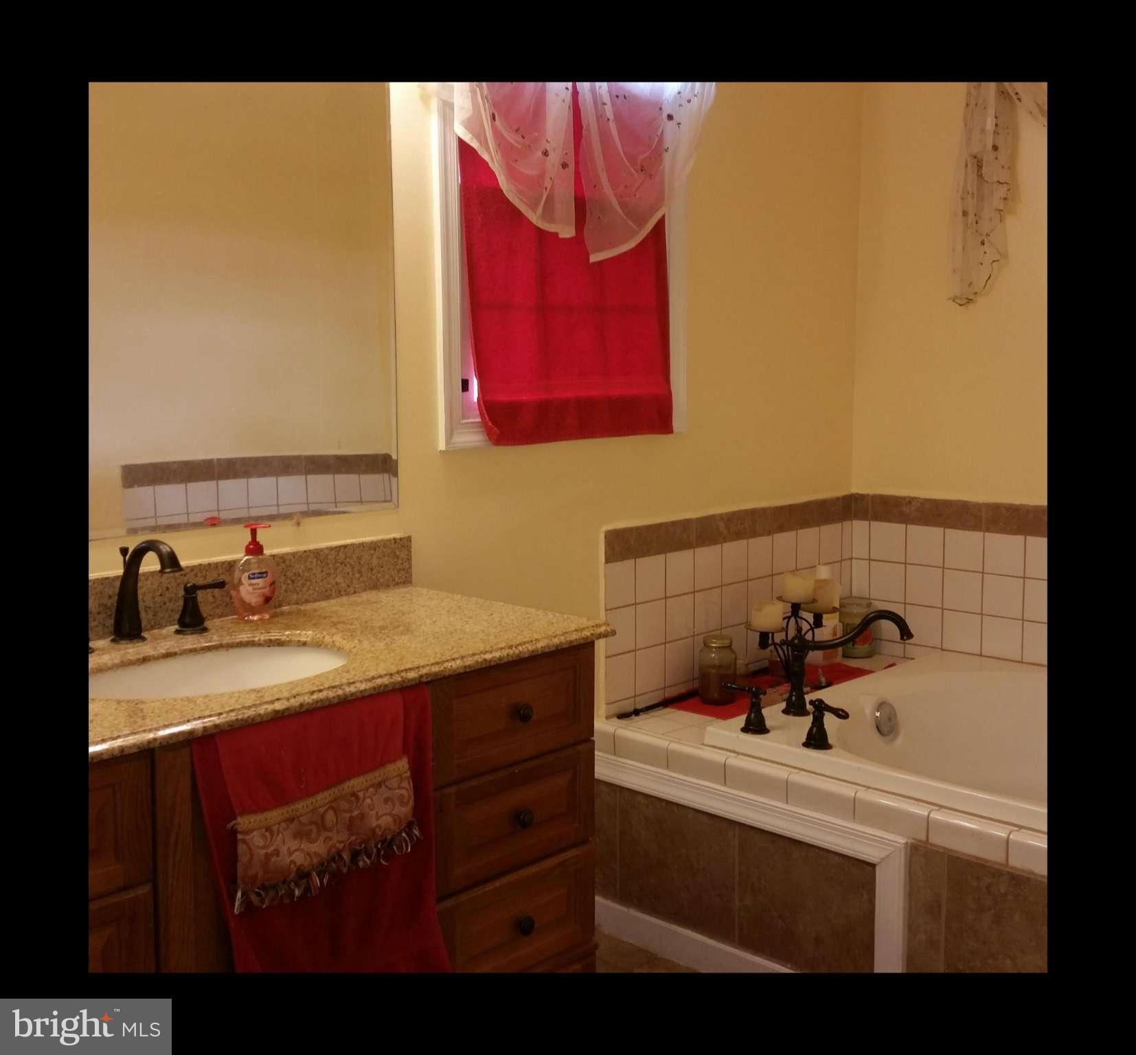 21203 San Mar Road Boonsboro, MD 21713 - Photo 6 of 30 Bath (Master)
