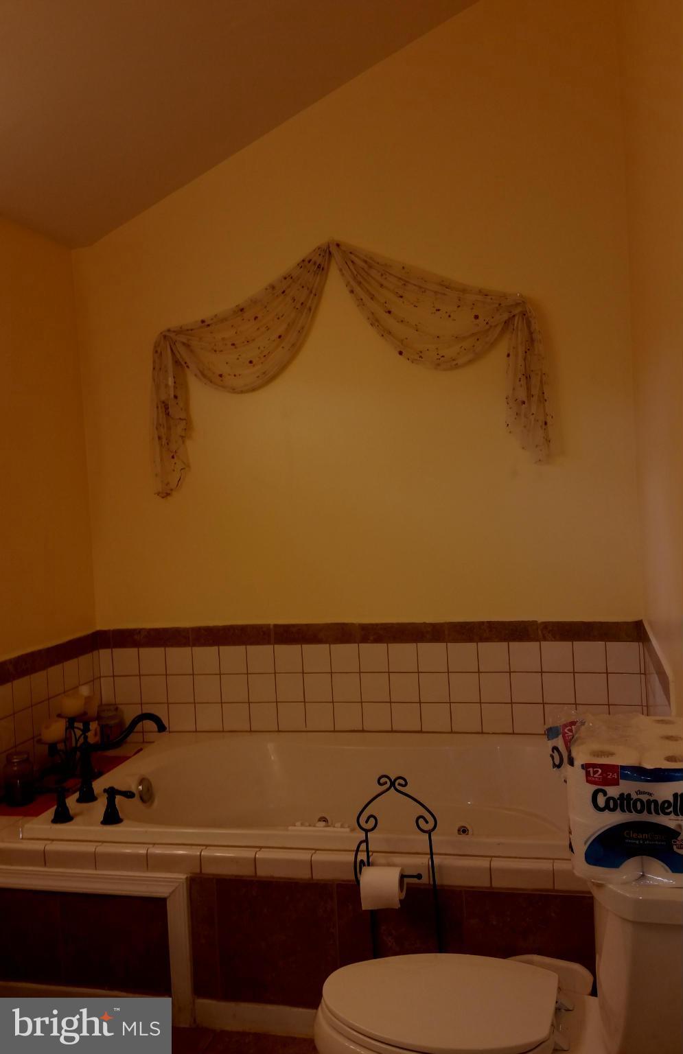 21203 San Mar Road Boonsboro, MD 21713 - Photo 7 of 30 Bath (Master)