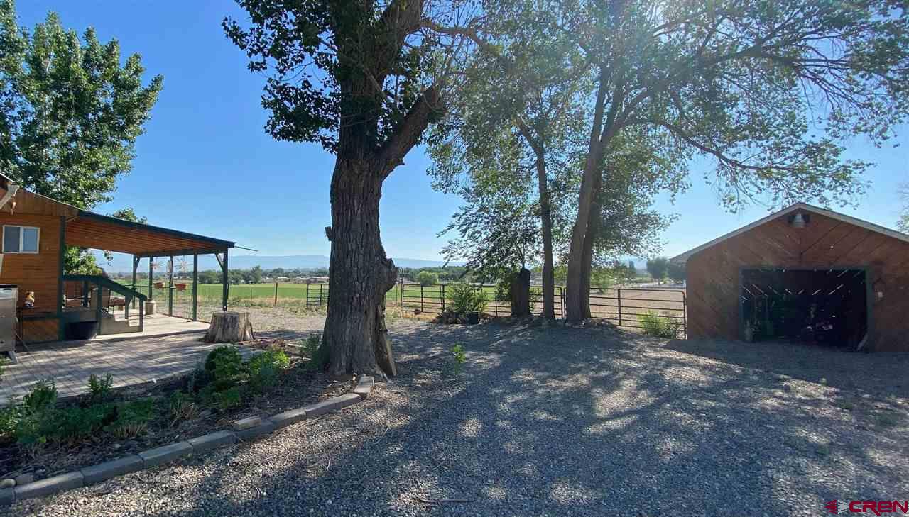 2461 Tessman Road Delta, CO 81416 - Photo 4 of 24
