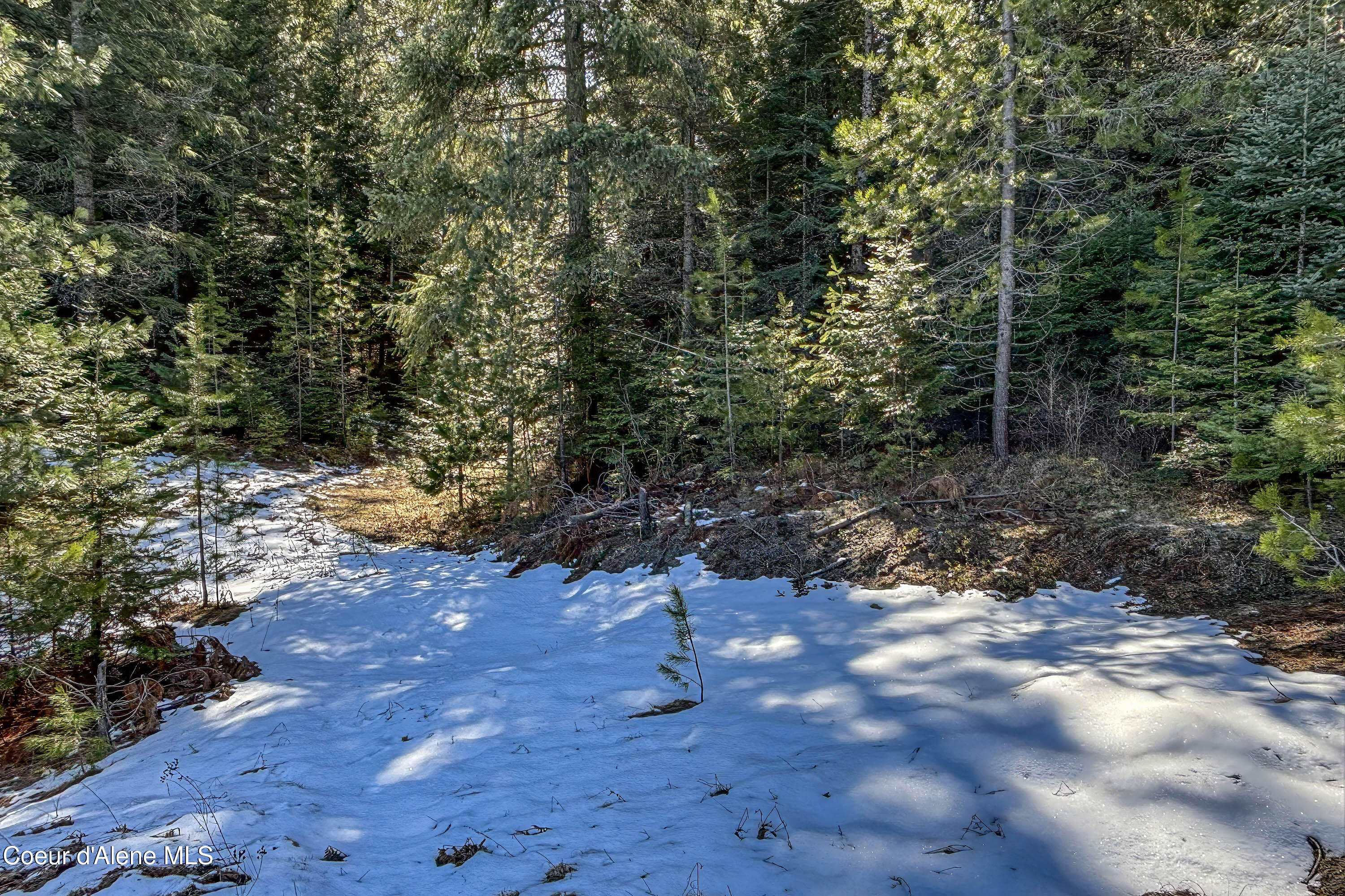 533 Artisan Way Sandpoint, ID 83864 - Photo 31 of 40 Pad