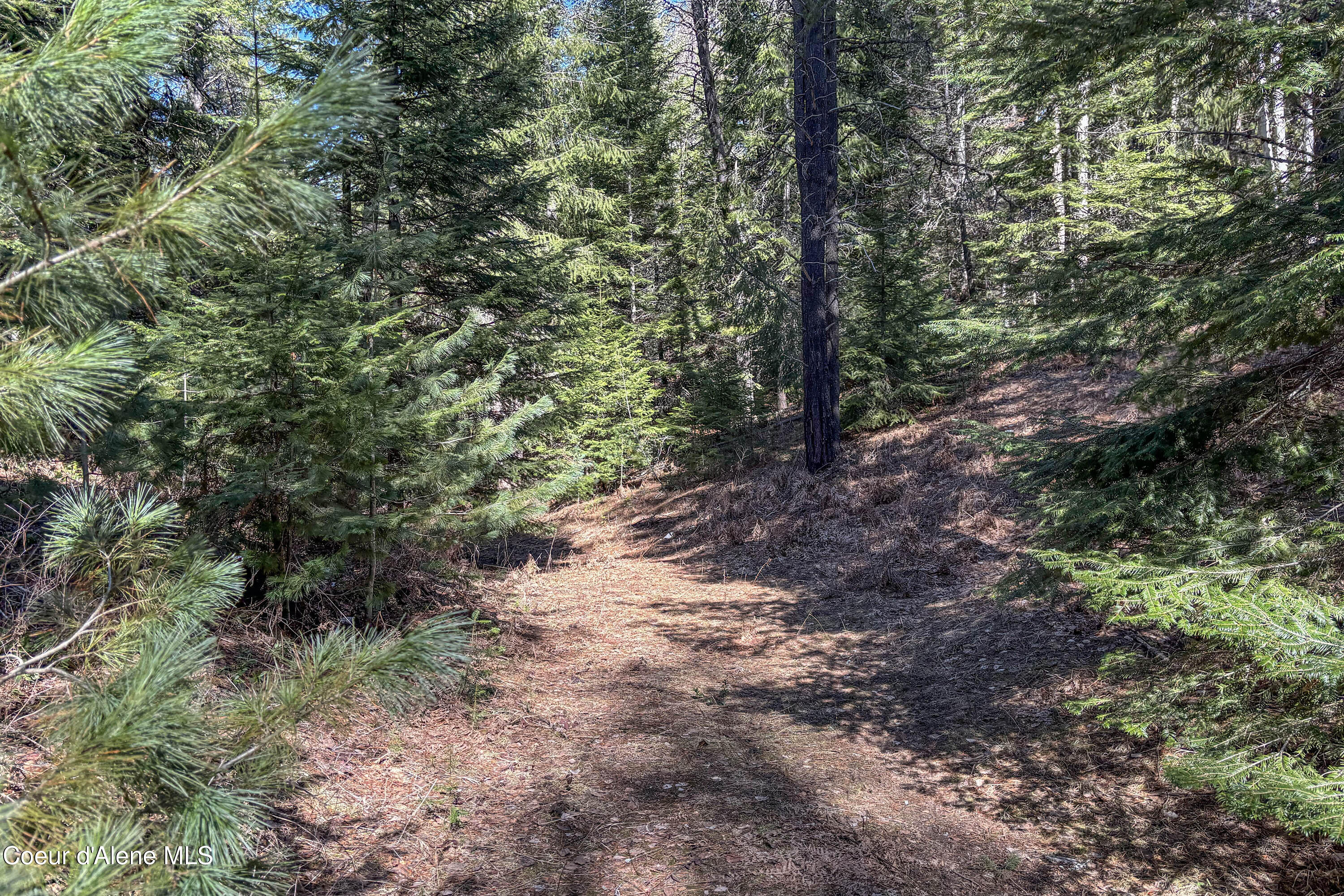 533 Artisan Way Sandpoint, ID 83864 - Photo 37 of 40 Trail to Sand Creek