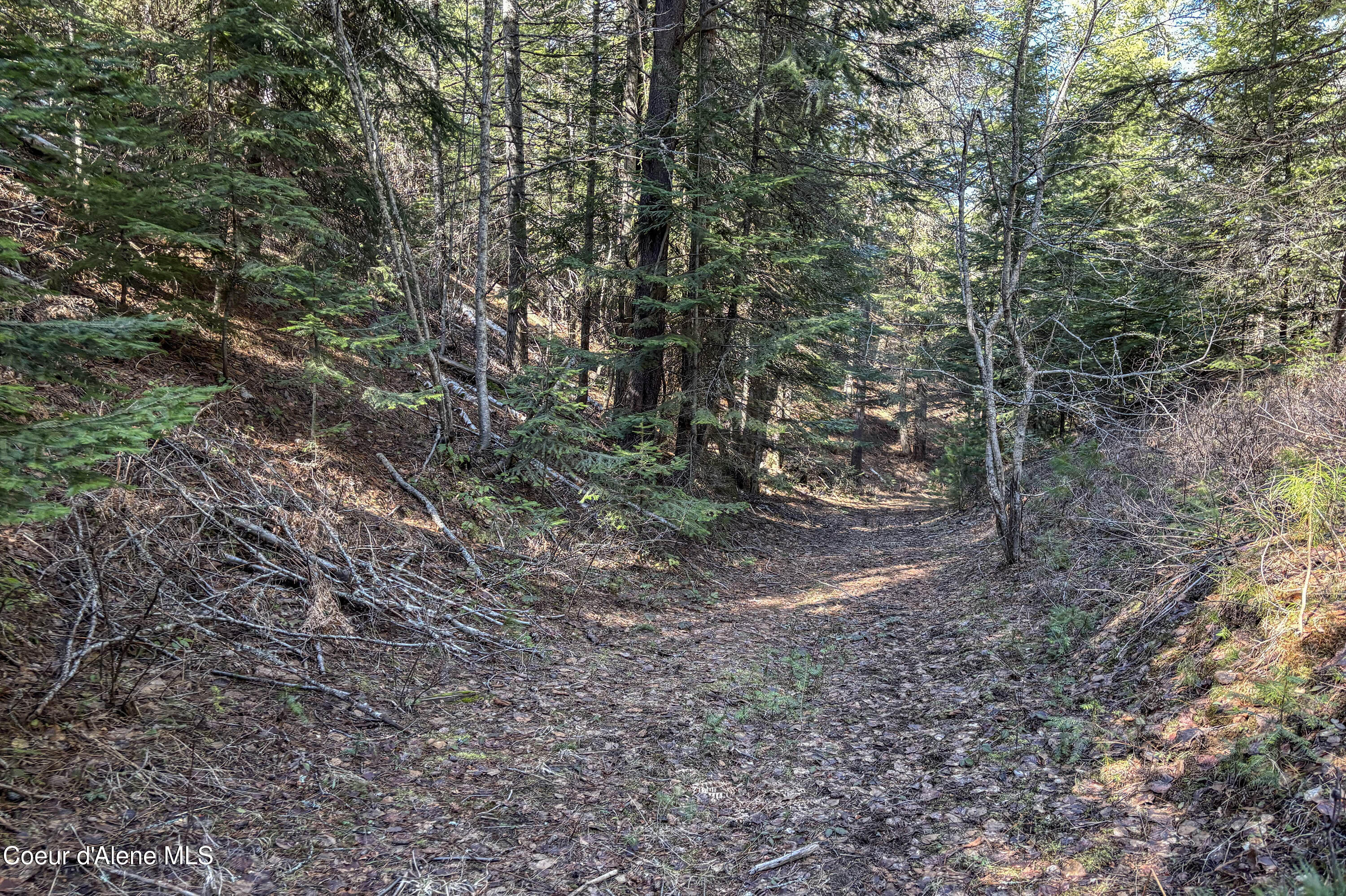 533 Artisan Way Sandpoint, ID 83864 - Photo 39 of 40 Walking Trail