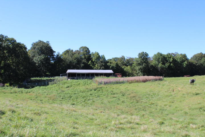 859 Rumbo Road Jamestown, KY 42629 - Photo 175 of 186 175