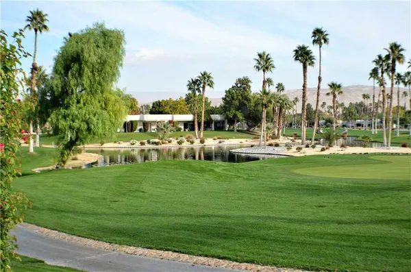a view of a park with large trees