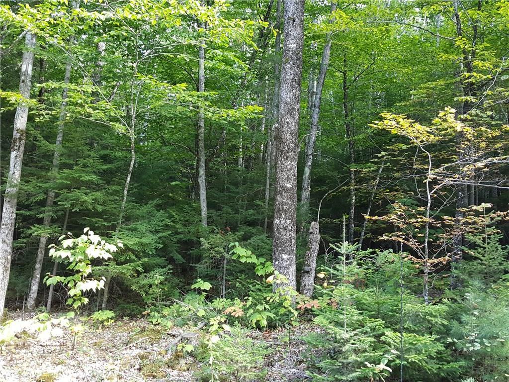 0 Sidelinger Road Union, ME 04862 - Photo 2 of 2 Photo