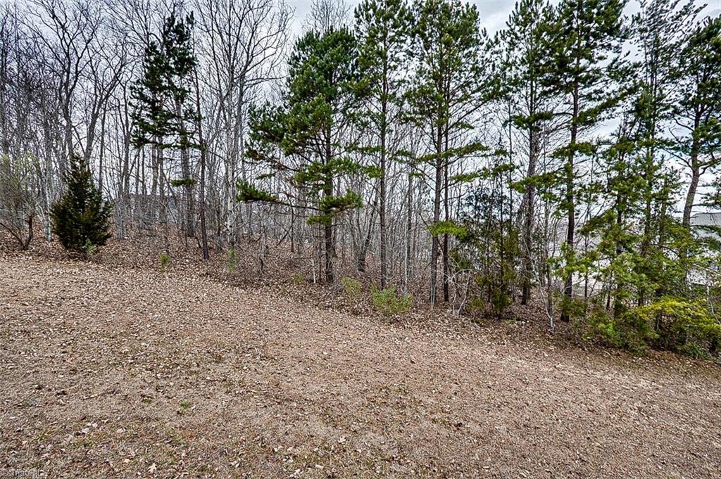 2585 Peppertree Ridge Road Randleman, NC 27317 - Photo 20 of 21