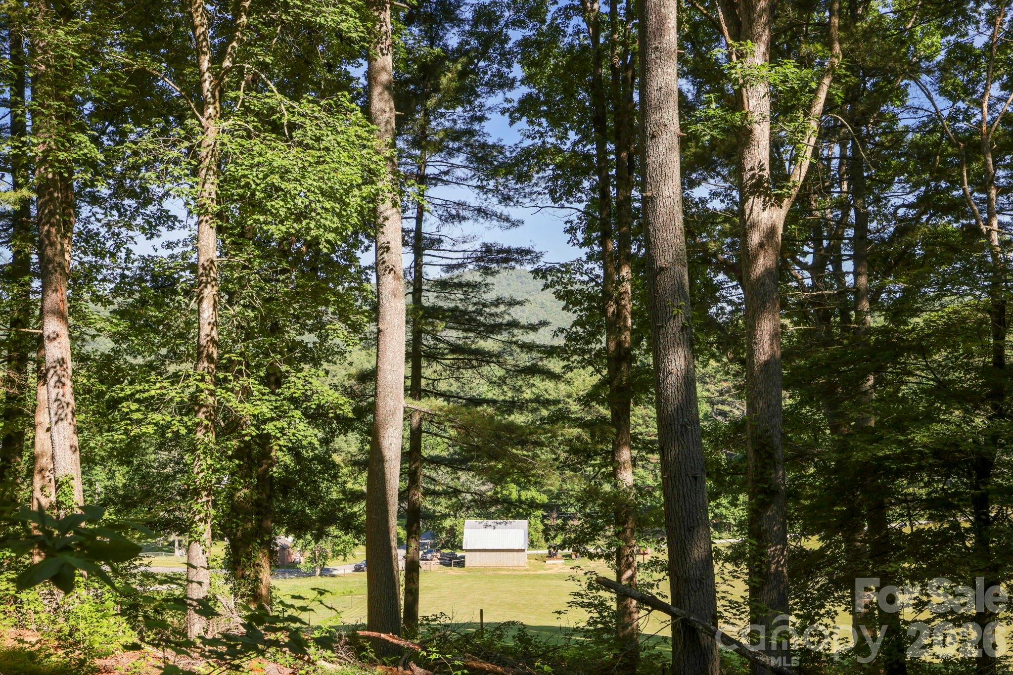 Tbd Big Valley Road Pisgah Forest, NC 28768 - Photo 7 of 15