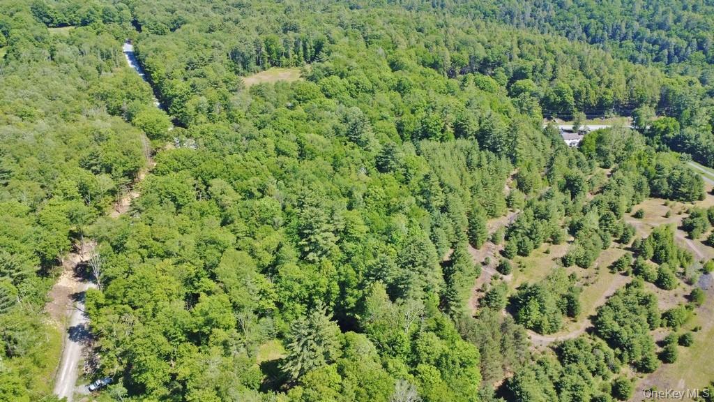 Marsh Road Fallsburg, NY 12733 - Photo 14 of 20