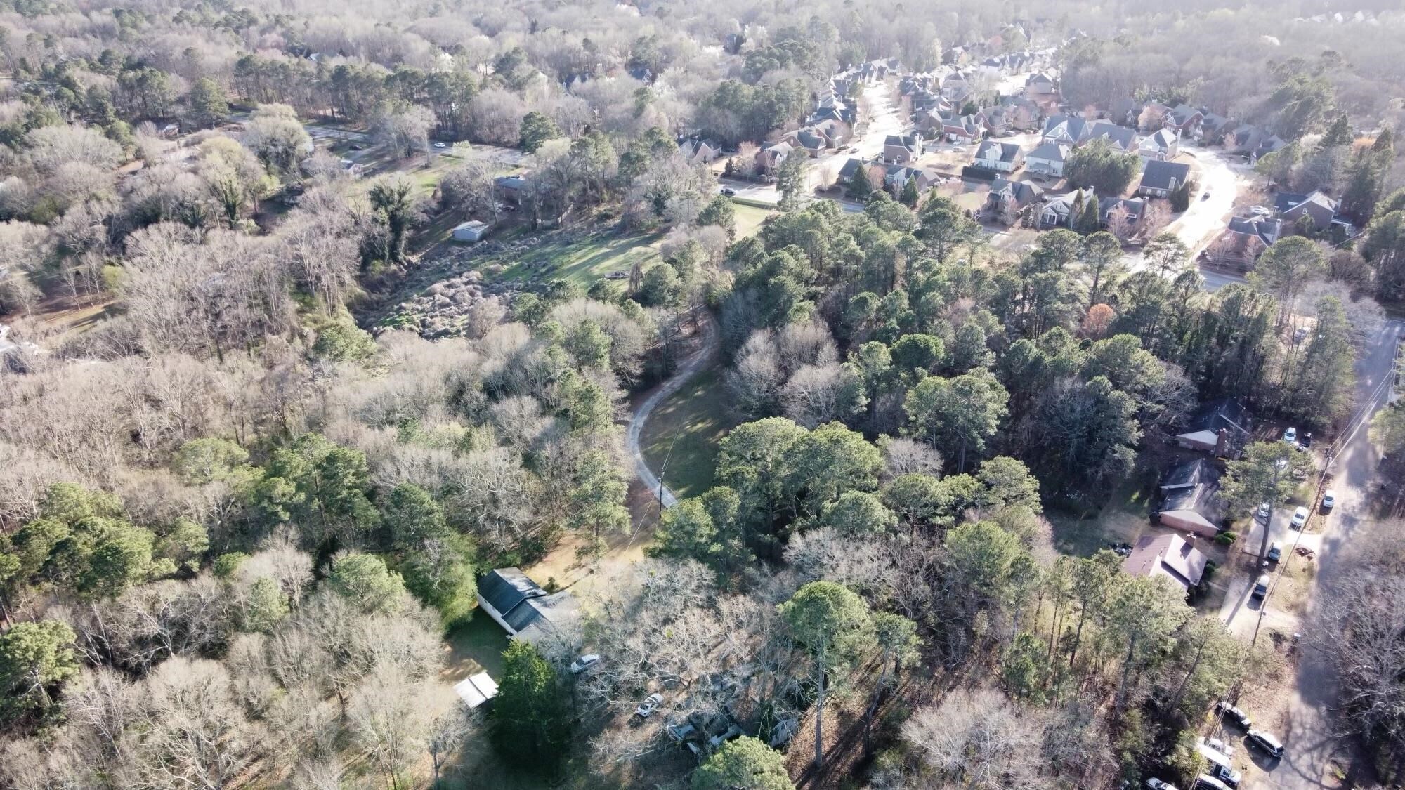 190 Bowles Drive Athens, GA 30606 - Photo 4 of 7 a view of a forest with a tree