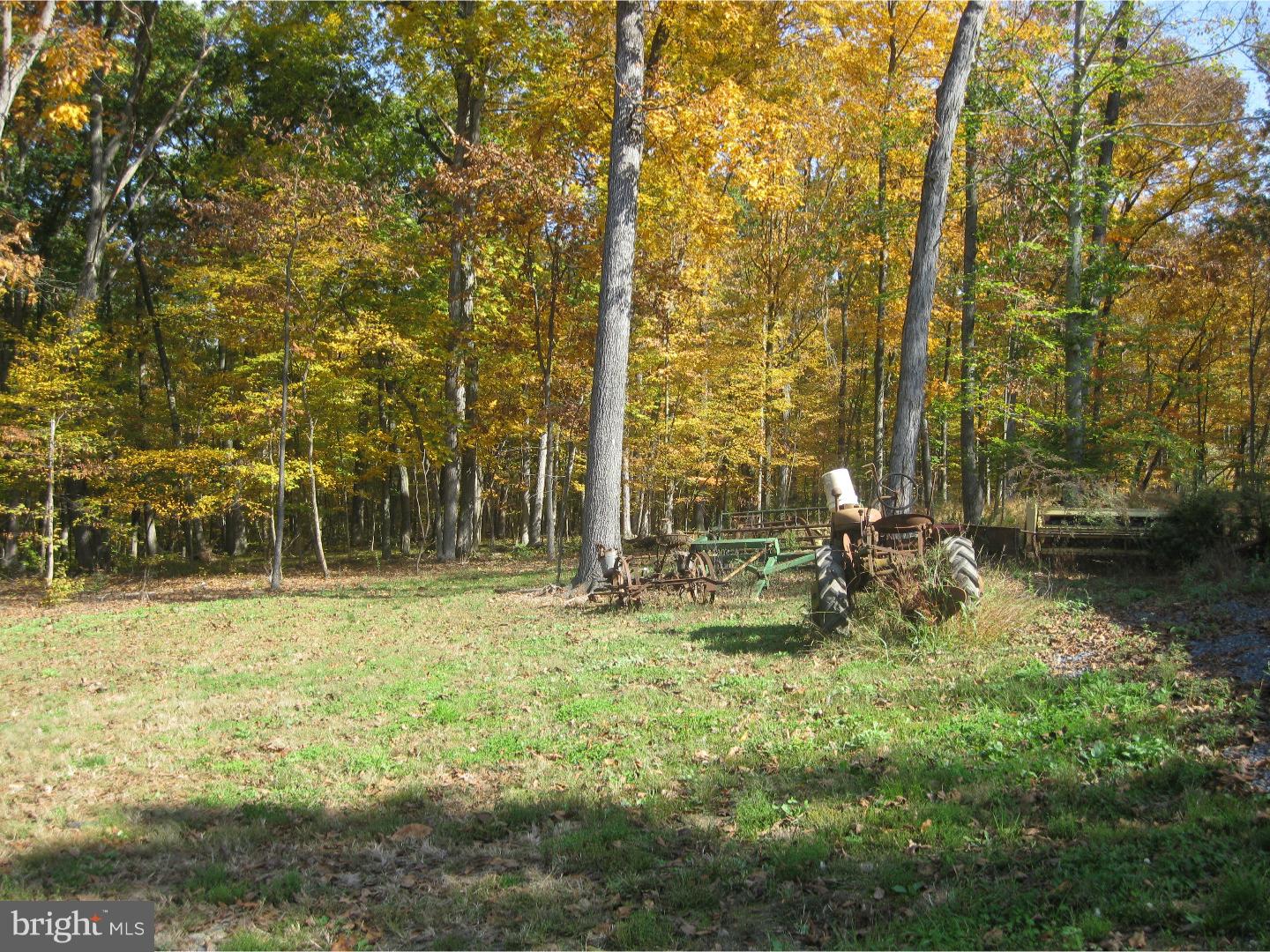 11 Badman Road Green Lane, PA 18054 - Photo 8 of 14