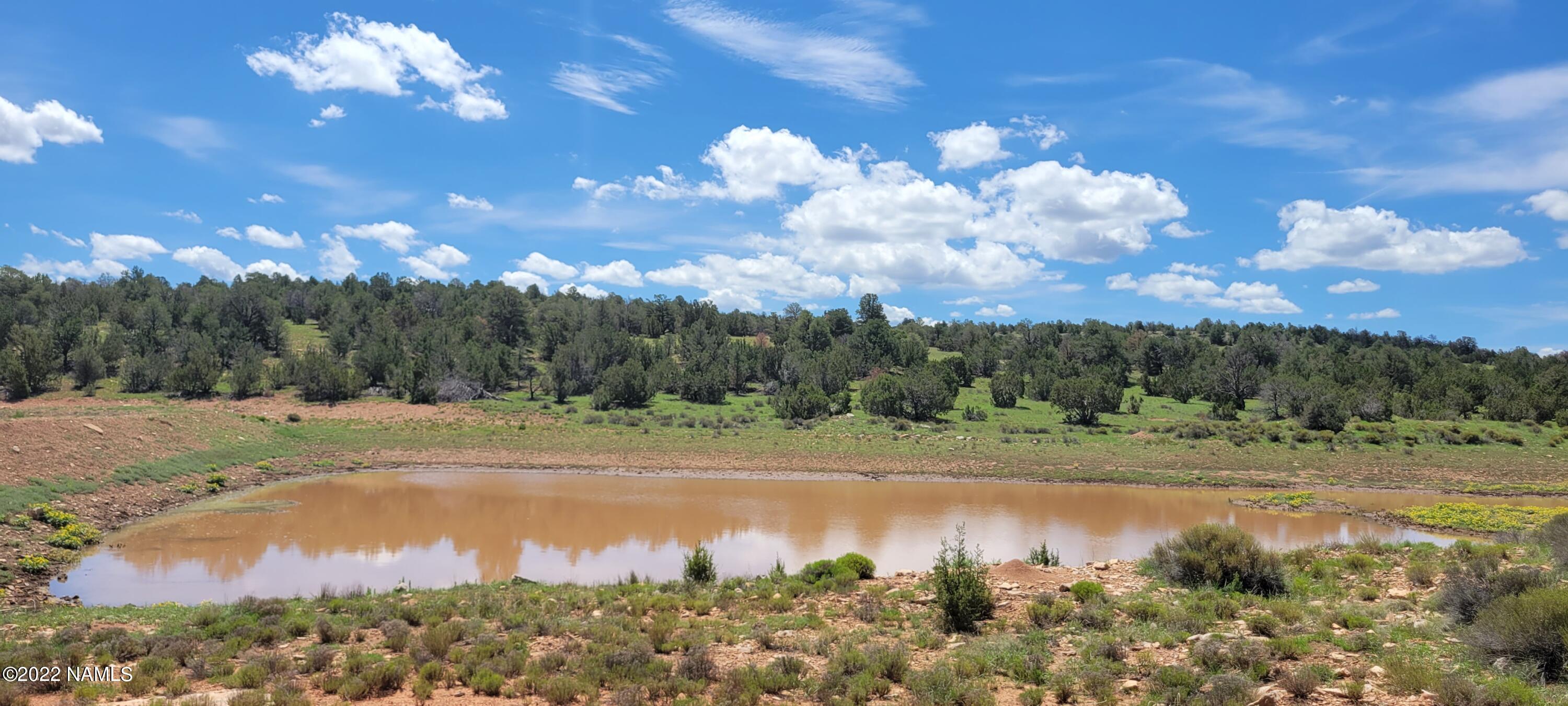 8298 West Red Bluff Road Williams, AZ 86046 - Photo 1 of 23 20220806_113427