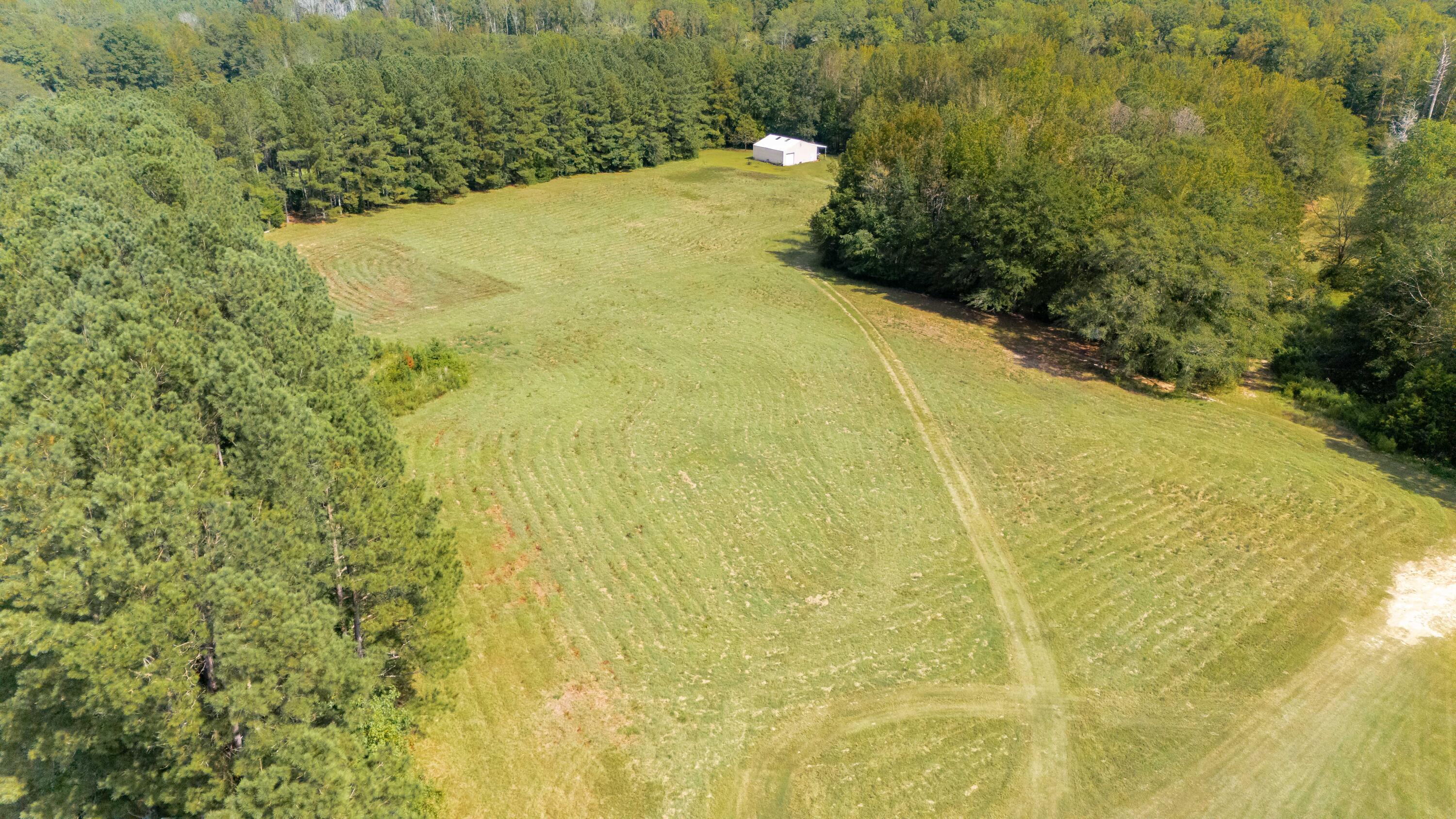 153 Rachel Road Ridge Spring, SC 29129 - Photo 6 of 57