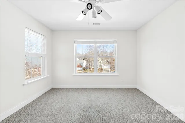 a view of a backyard with plants and large trees