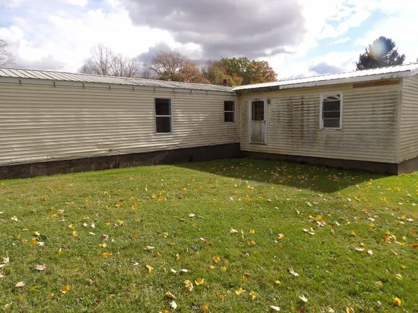 a view of a backyard with plants and large tree