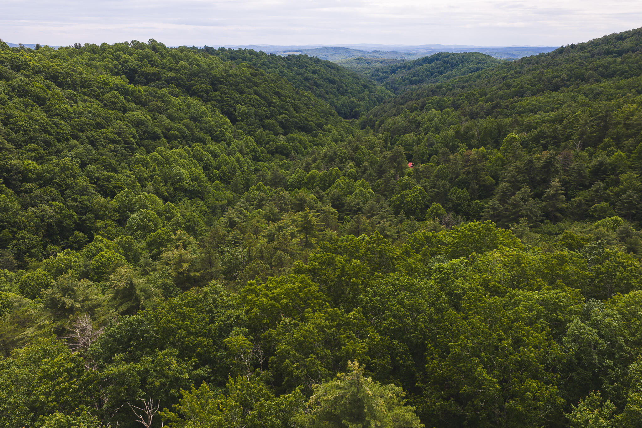 Tbd Macks Mountain Road Northwest Indian Valley, VA 24105 - Photo 5 of 45 DJI_20260601141820_0050_D