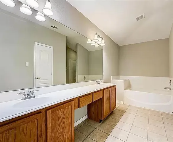 a bathroom with a tub double vanity sink and a mirror