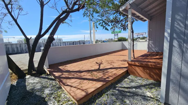 a view of a backyard with a tree