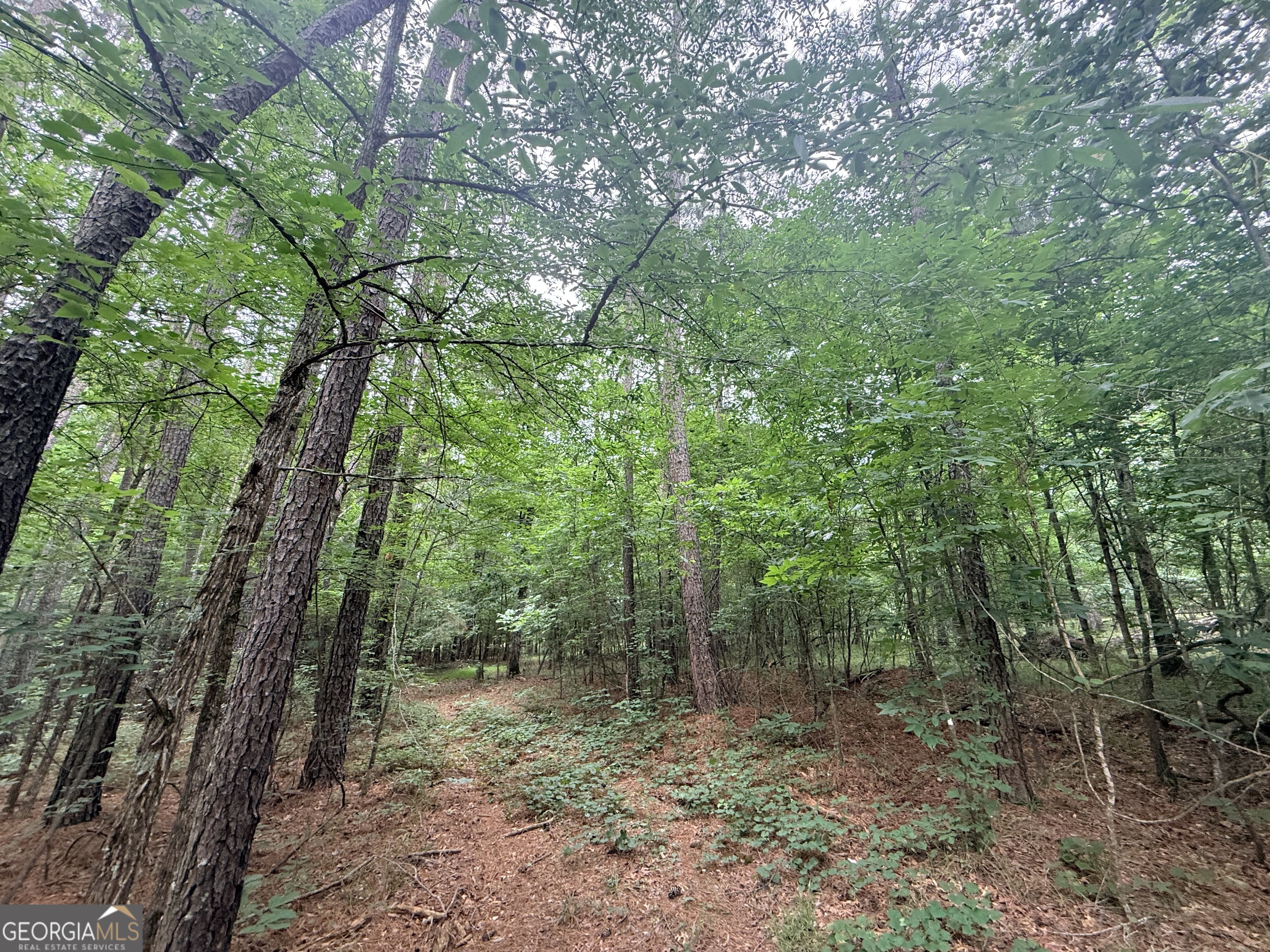 1 Bethesda Church Road Lexington, GA 30648 - Photo 19 of 78