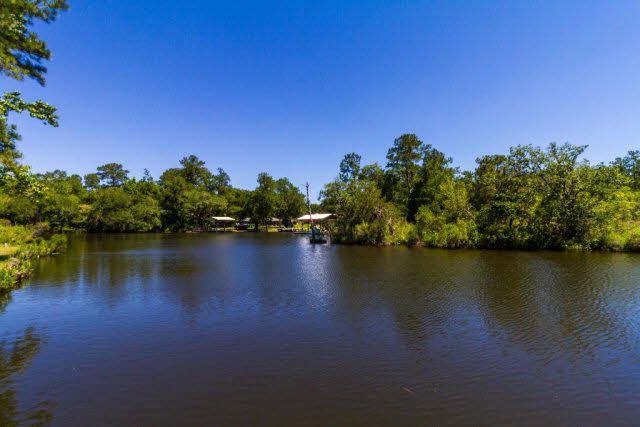 18733 Pine Acres Road Gulf Shores, AL 36542 - Photo 4 of 21